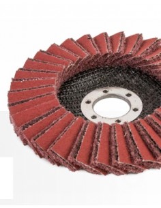 Disque lamelles Hybrid Ø125 médium